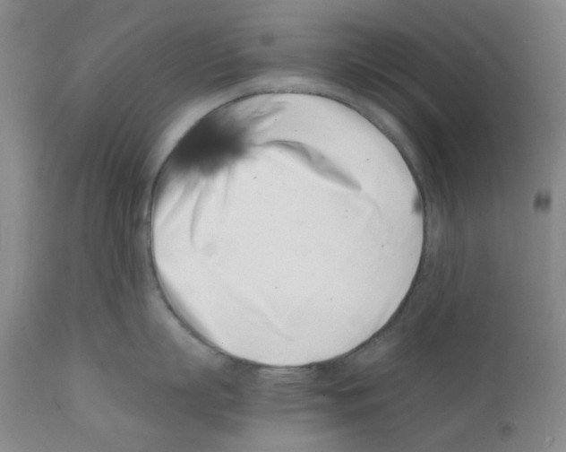 X0000111500863200908251048