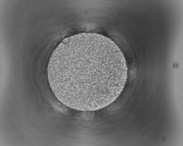 X0000111500865200908251047