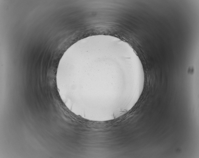 X0000111500868200908251047