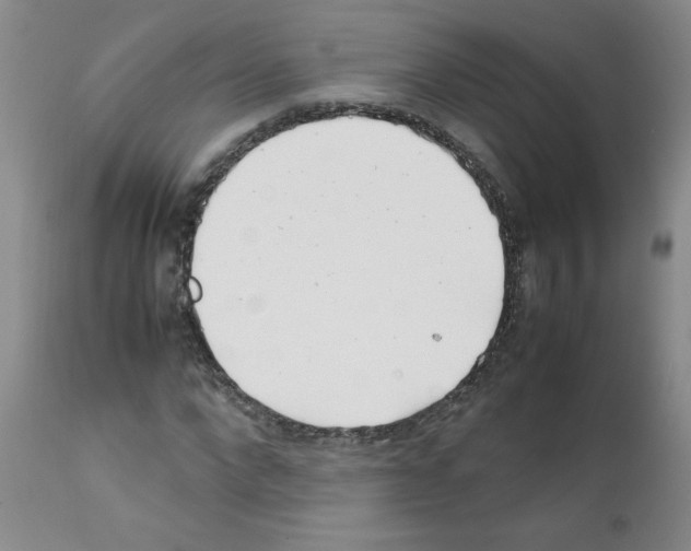 X0000111500872200908251047