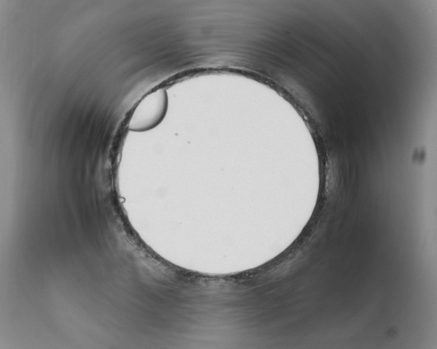 X0000111500876200908251047