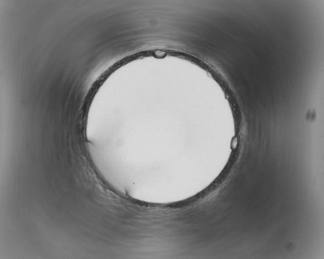 X0000111500877200908251047