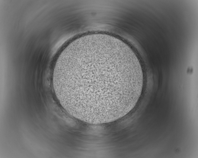 X0000111500878200908251047