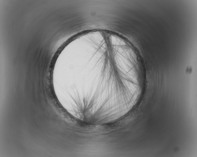 X0000111500879200908251047