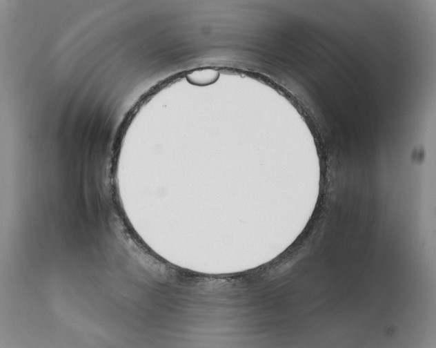 X0000111500880200908251047