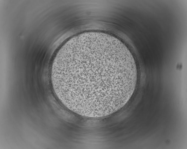 X0000111500882200908251047