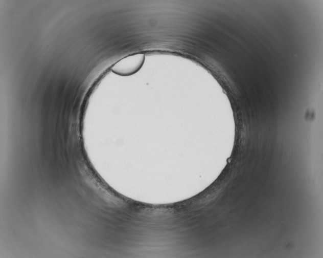 X0000111500884200908251047