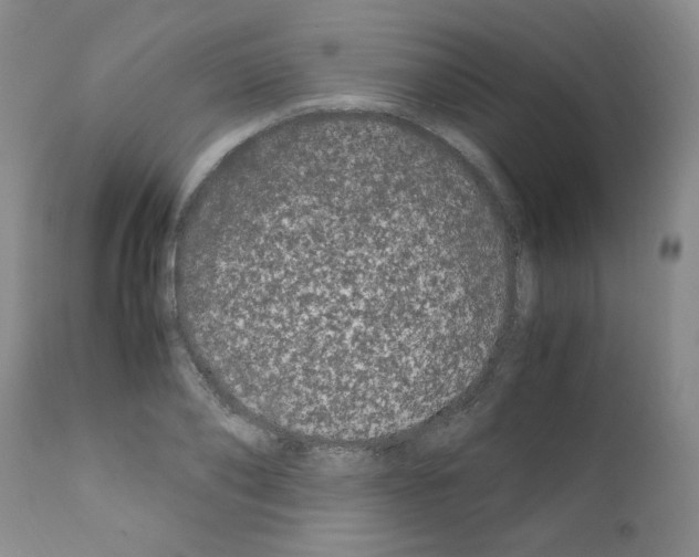 X0000111500886200908251047