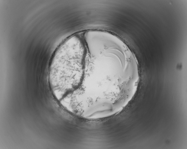 X0000111500888200908251047