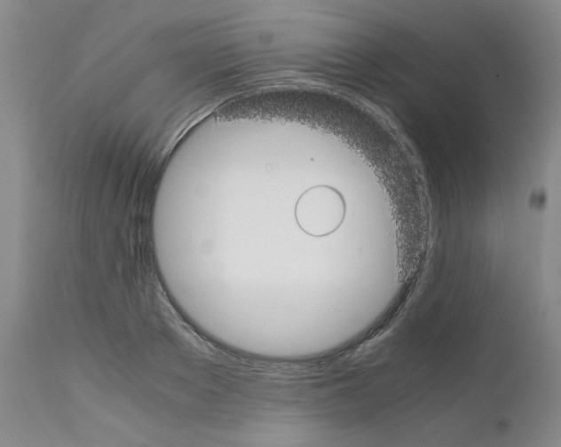 X0000111500889200908251047