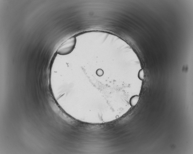 X0000111500892200908251047