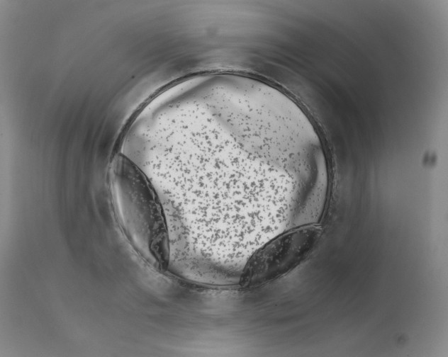 X0000111500893200908251047