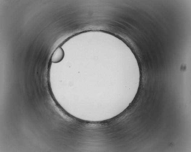 X0000111500894200908251047