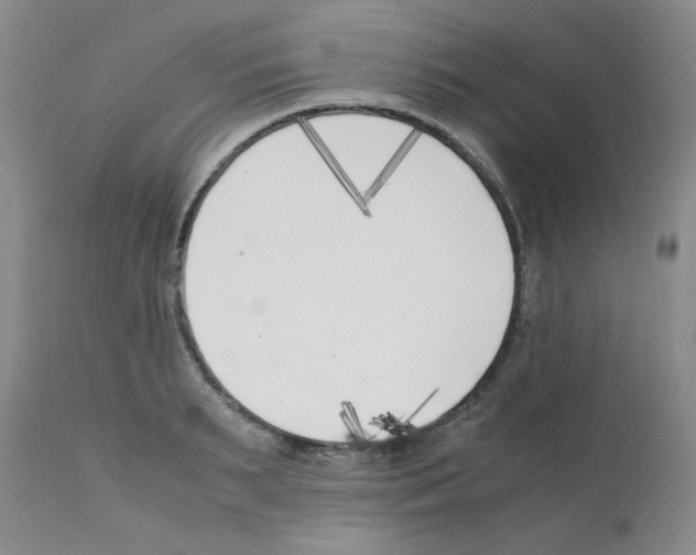 X0000111500895200908251047