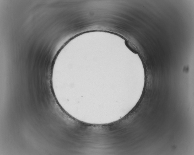 X0000111500896200908251047