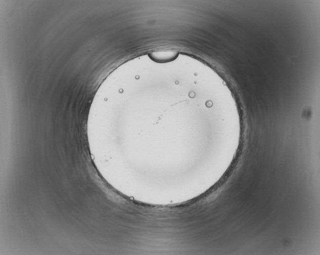 X0000111500897200908251047