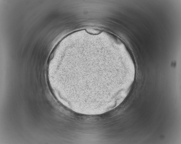 X0000111500899200908251047