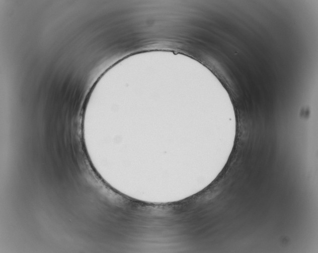 X0000111500900200908251046