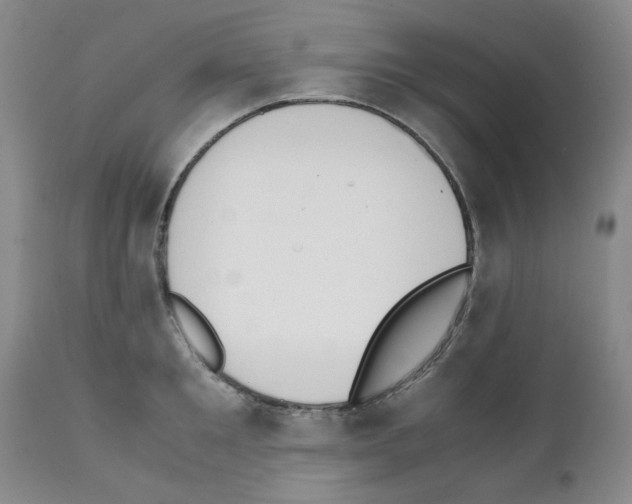 X0000111500901200908251046