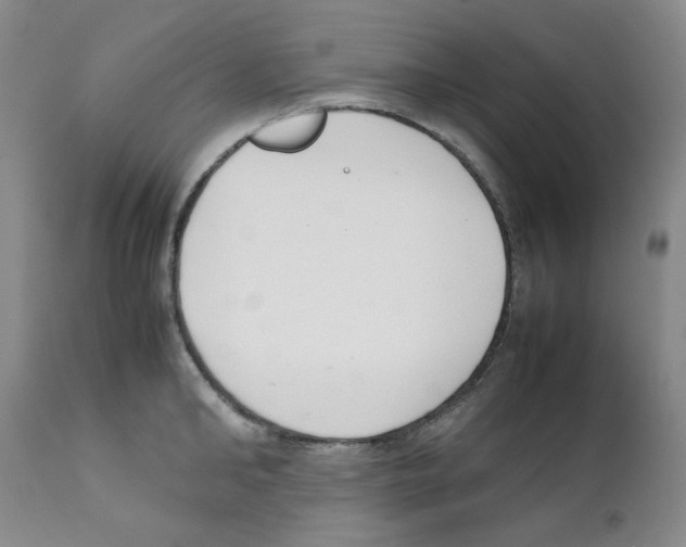 X0000111500902200908251046