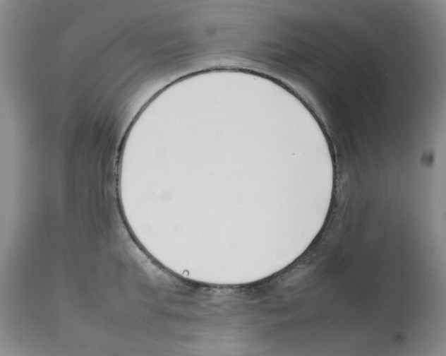 X0000111500903200908251046