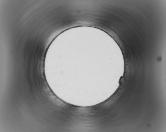 X0000111500904200908251046