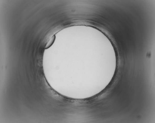 X0000111500905200908251046