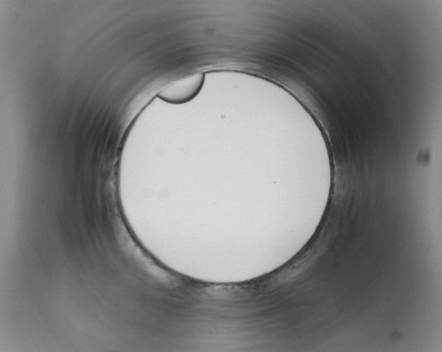 X0000111500906200908251046