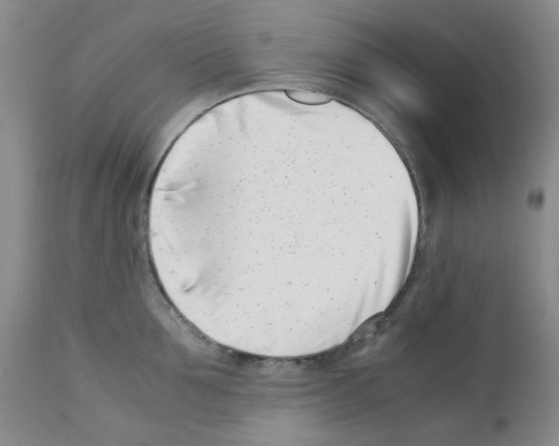 X0000111500907200908251046