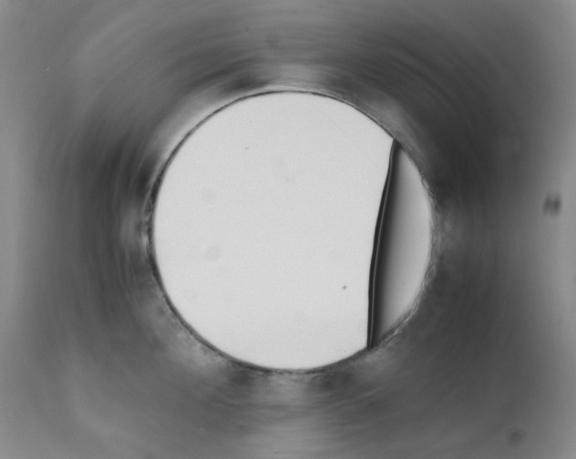 X0000111500908200908251046