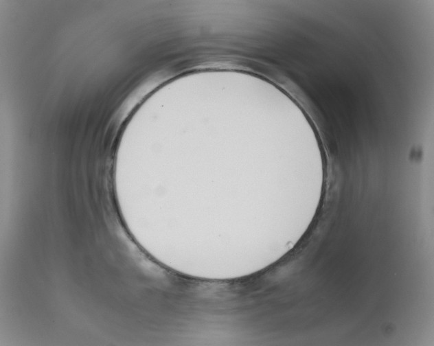 X0000111500909200908251046