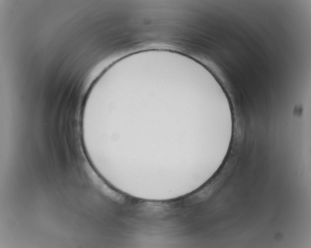 X0000111500910200908251046