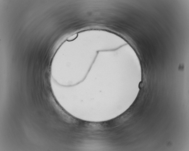 X0000111500911200908251046