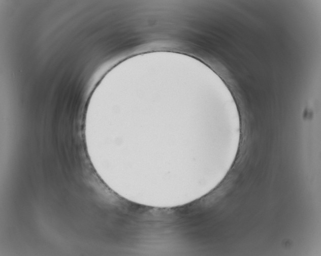 X0000111500912200908251046