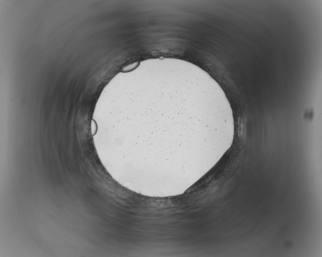 X0000111500915200908251046