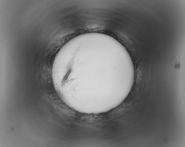 X0000111500917200908251046