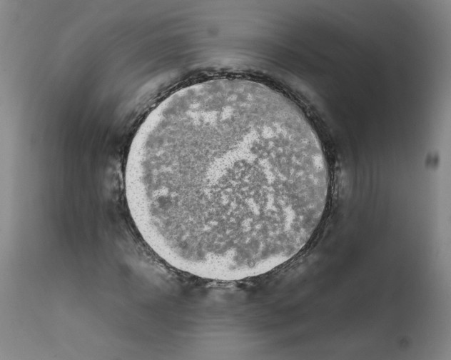 X0000111500918200908251046