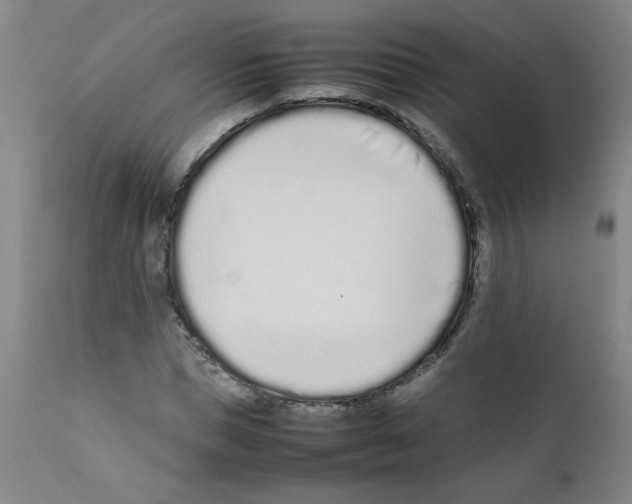 X0000111500921200908251046