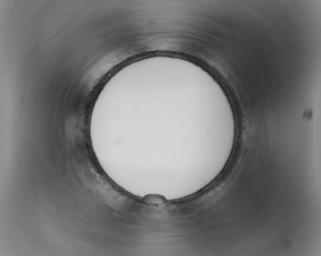 X0000111500922200908251046