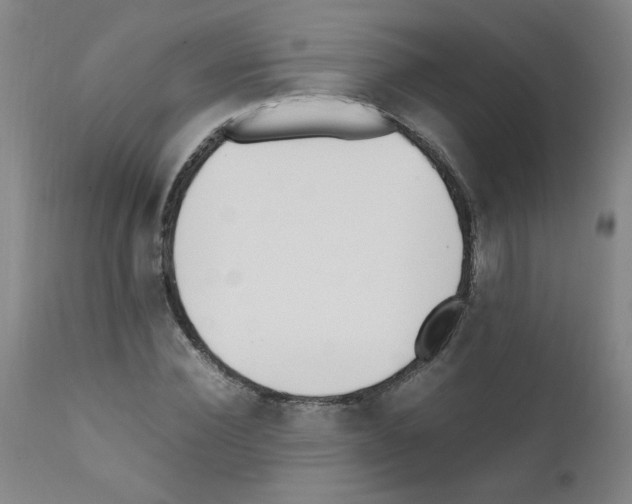 X0000111500924200908251046