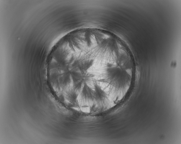 X0000111500925200908251046