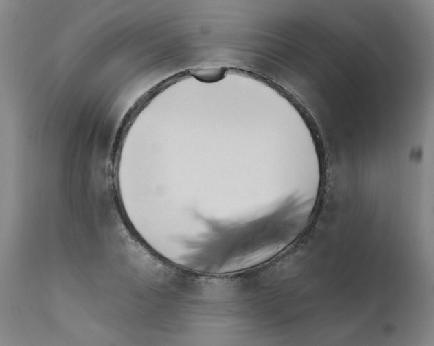 X0000111500928200908251046