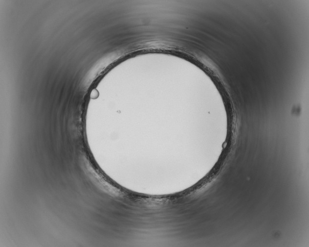 X0000111500930200908251046