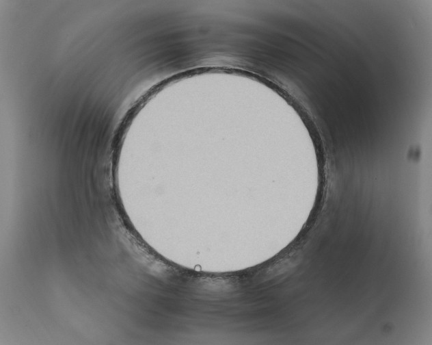 X0000111500931200908251046