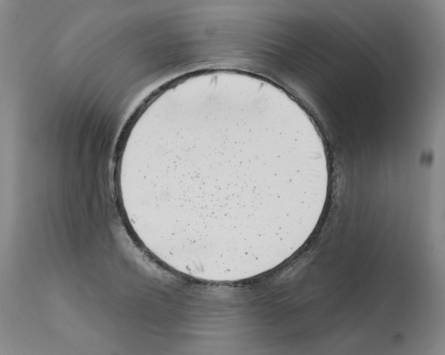 X0000111500932200908251046