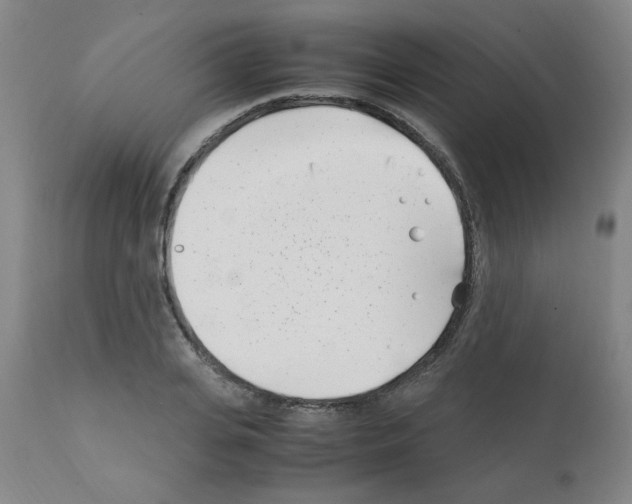 X0000111500935200908251046