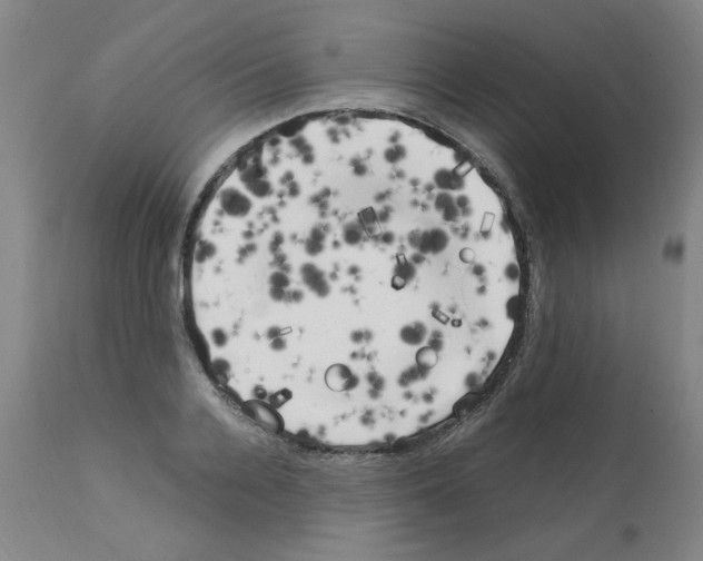 X0000111500936200908251046