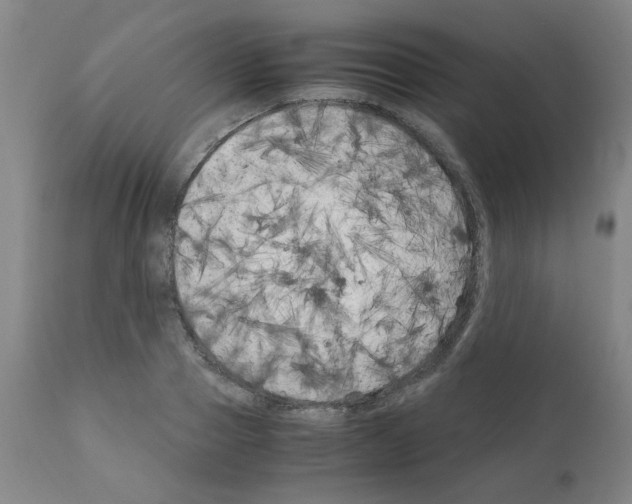 X0000111500937200908251046