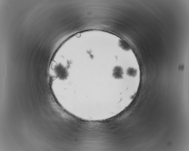 X0000111500940200908251046