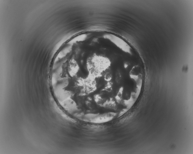 X0000111500941200908251046